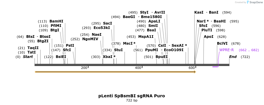 102968_map