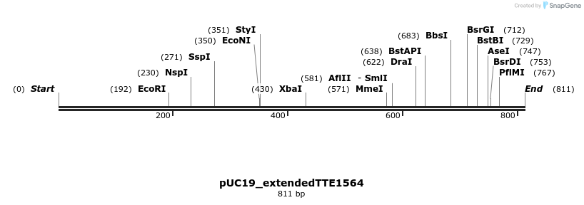 102980_map