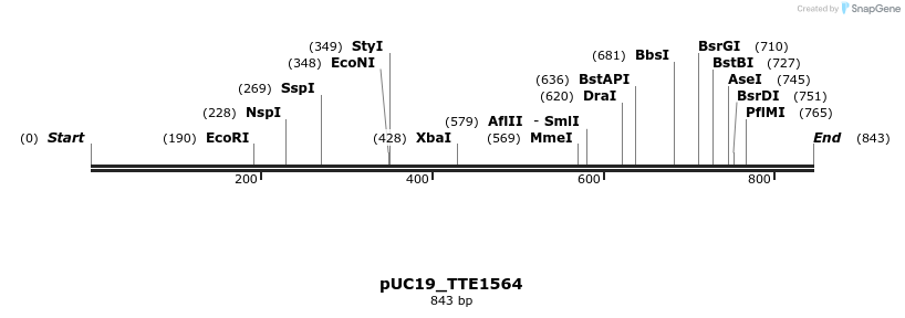 102982_map
