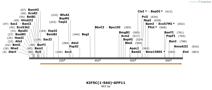 102984_map