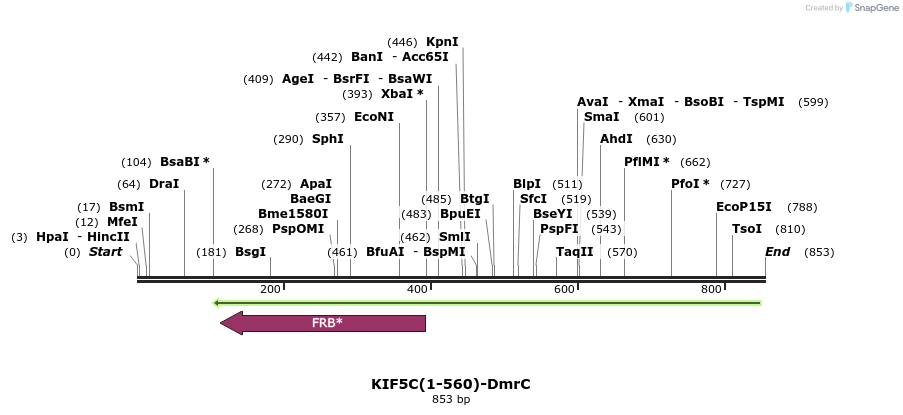102997_map