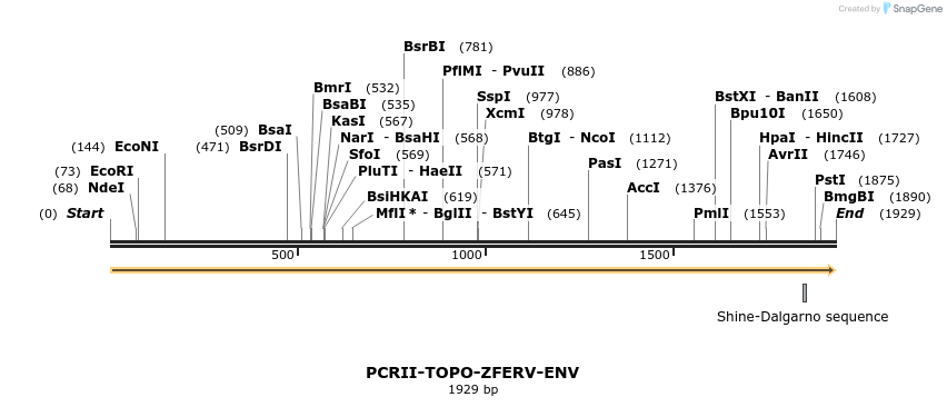 10300_map