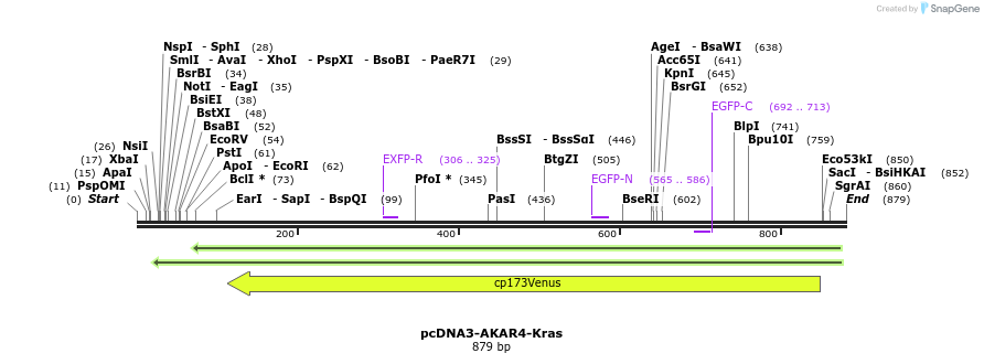 103001_map
