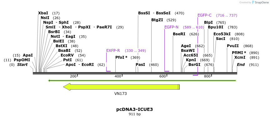 103003_map