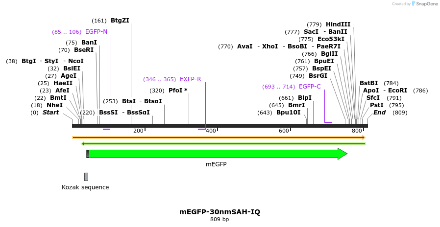 103004_map