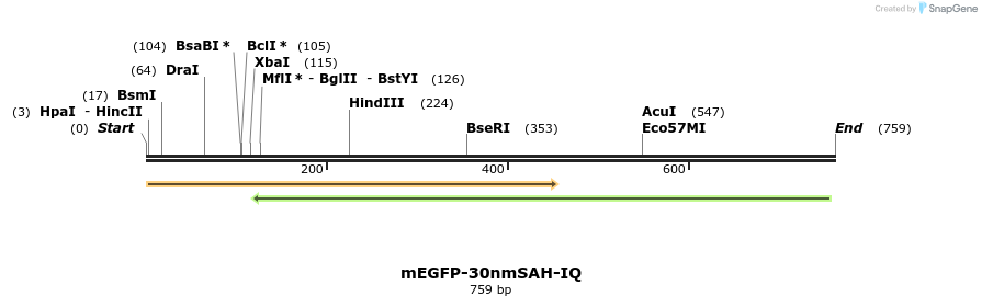 103006_map