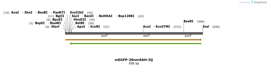 103007_map