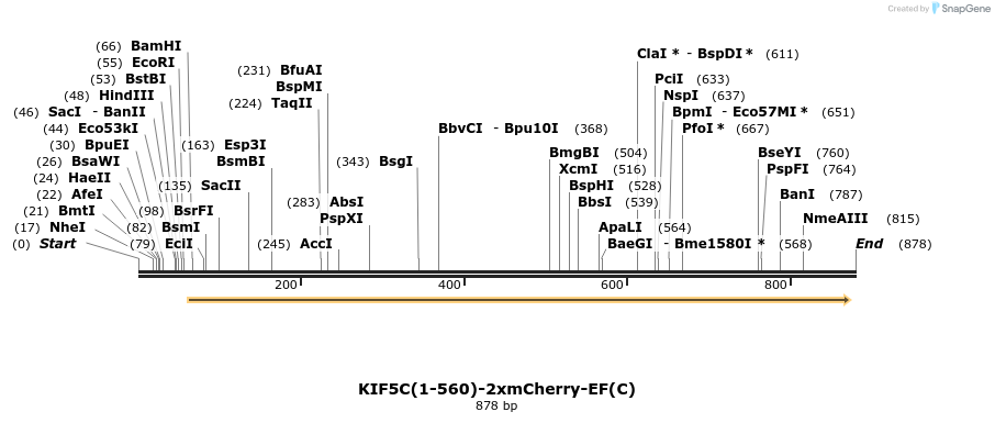 103008_map