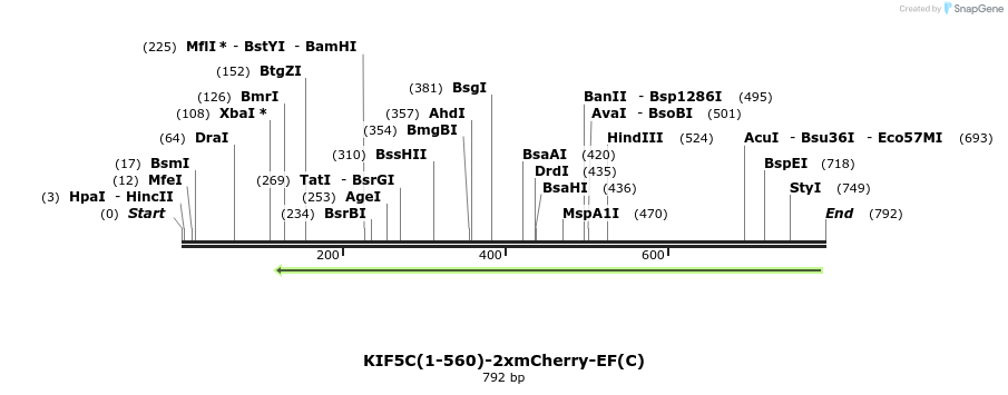 103011_map