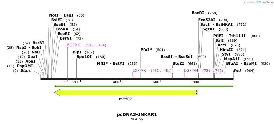 103014_map