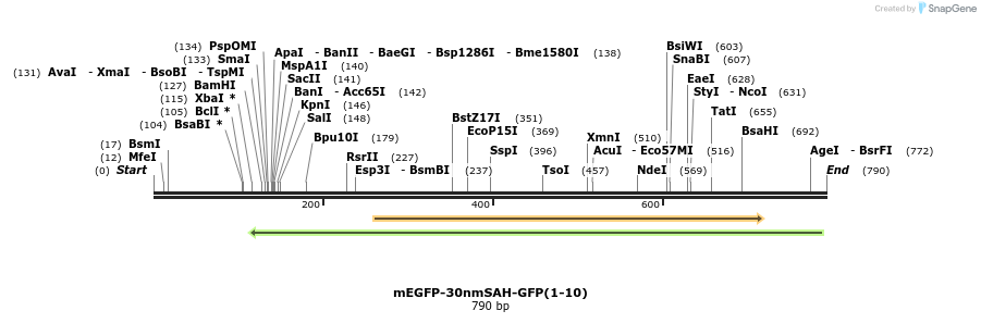 103015_map