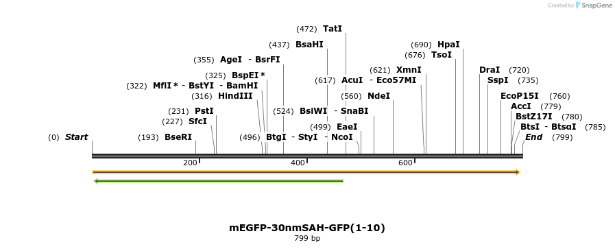 103016_map