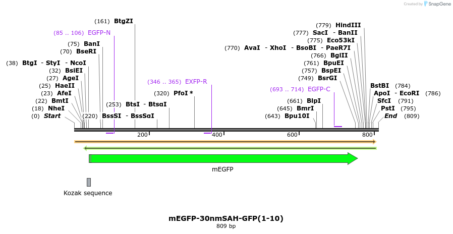 103017_map
