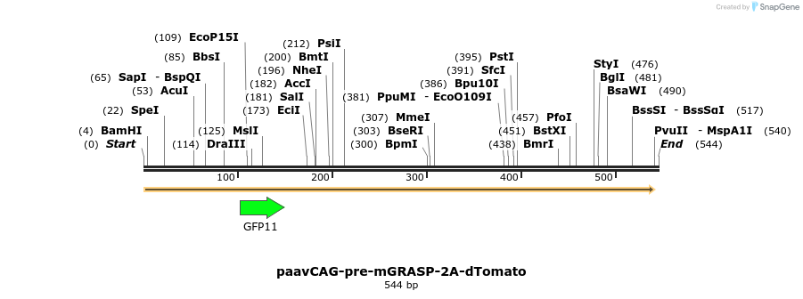 103027_map