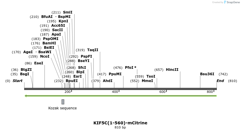 103029_map