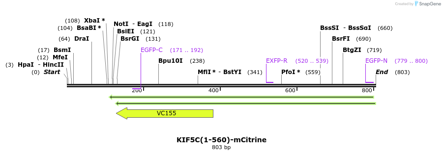 103030_map