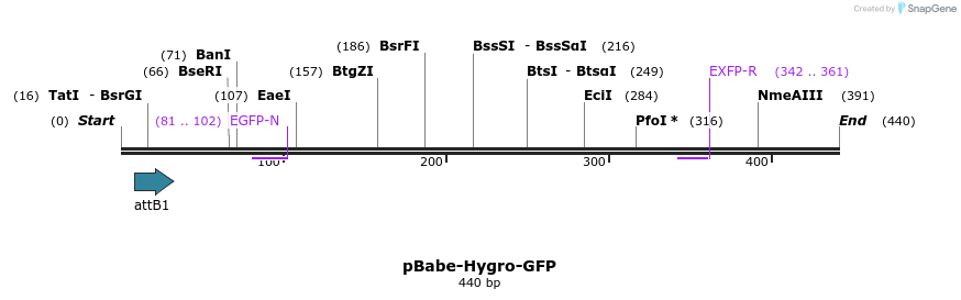 103033_map