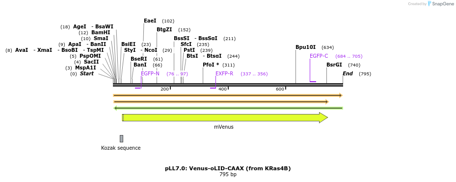 103034_map