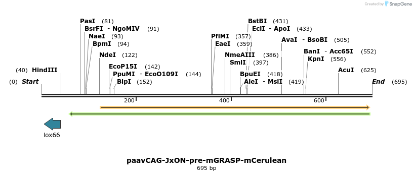 103035_map