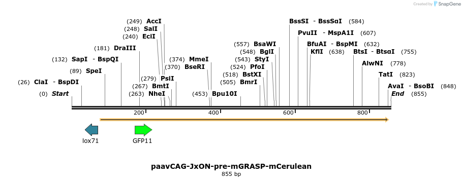 103039_map