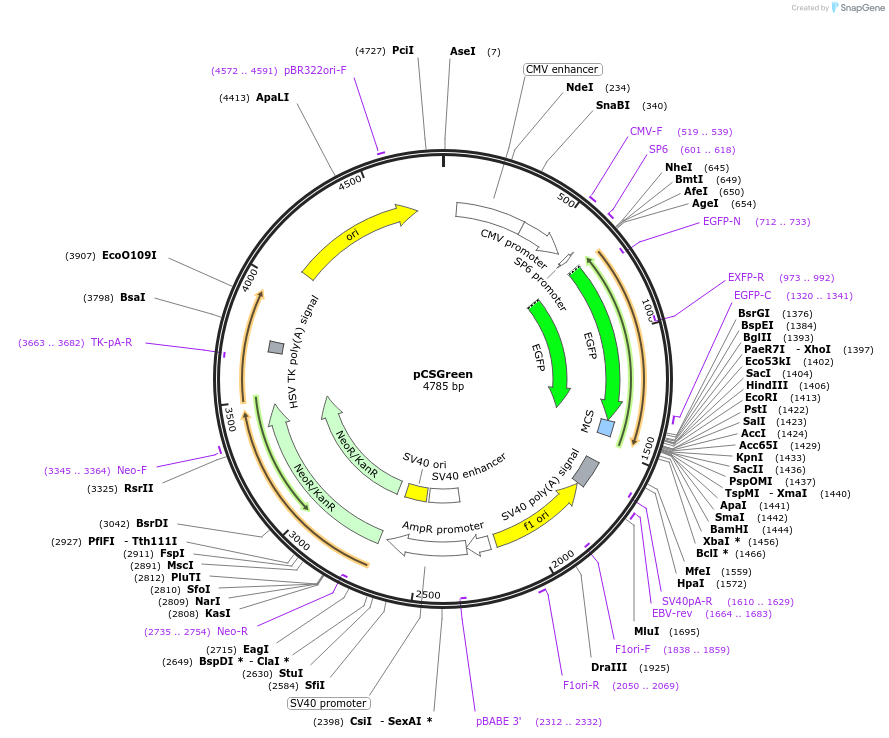 10304_map