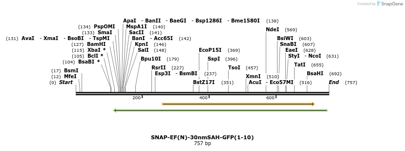 103040_map