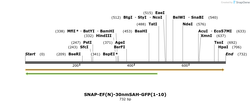 103042_map