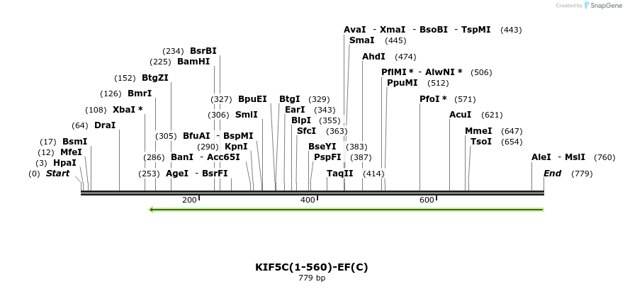 103045_map