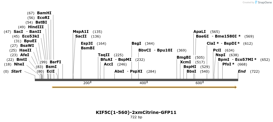 103046_map