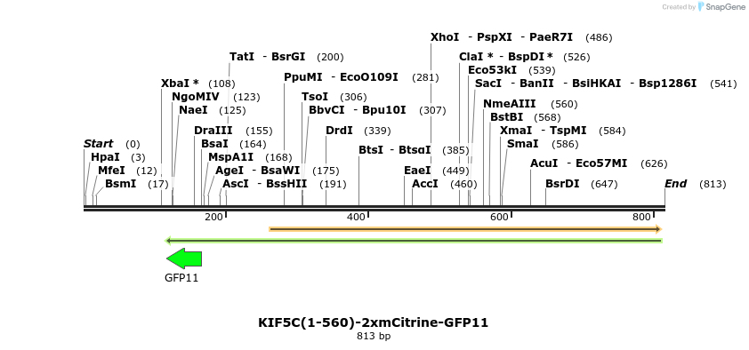 103047_map