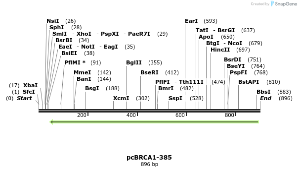103062_map