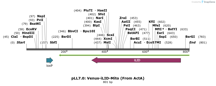 103065_map