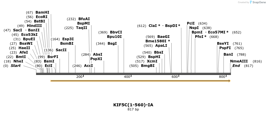 103069_map