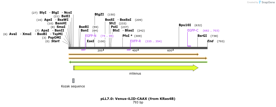 103071_map