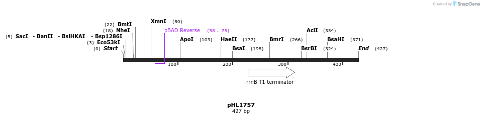 103077_map