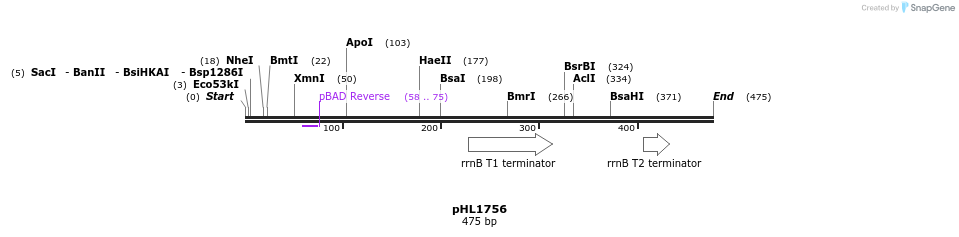 103078_map