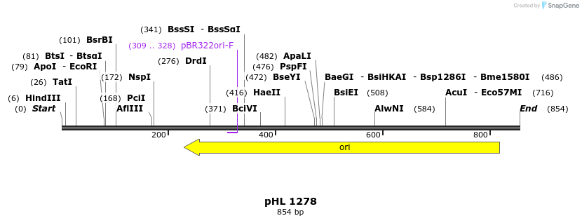 103081_map