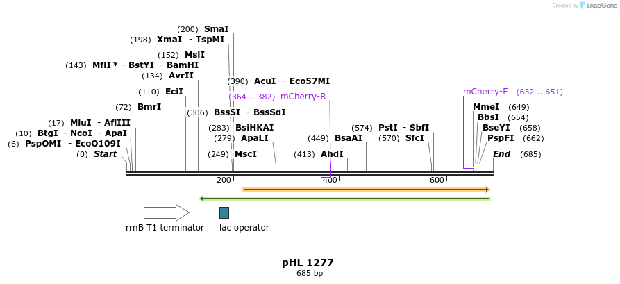 103082_map