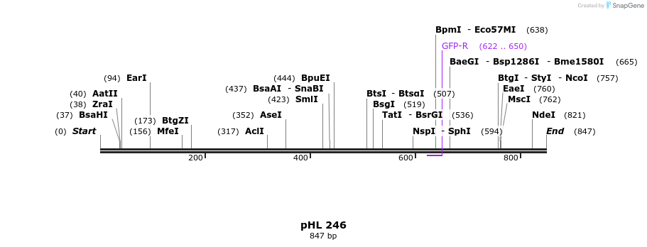 103084_map