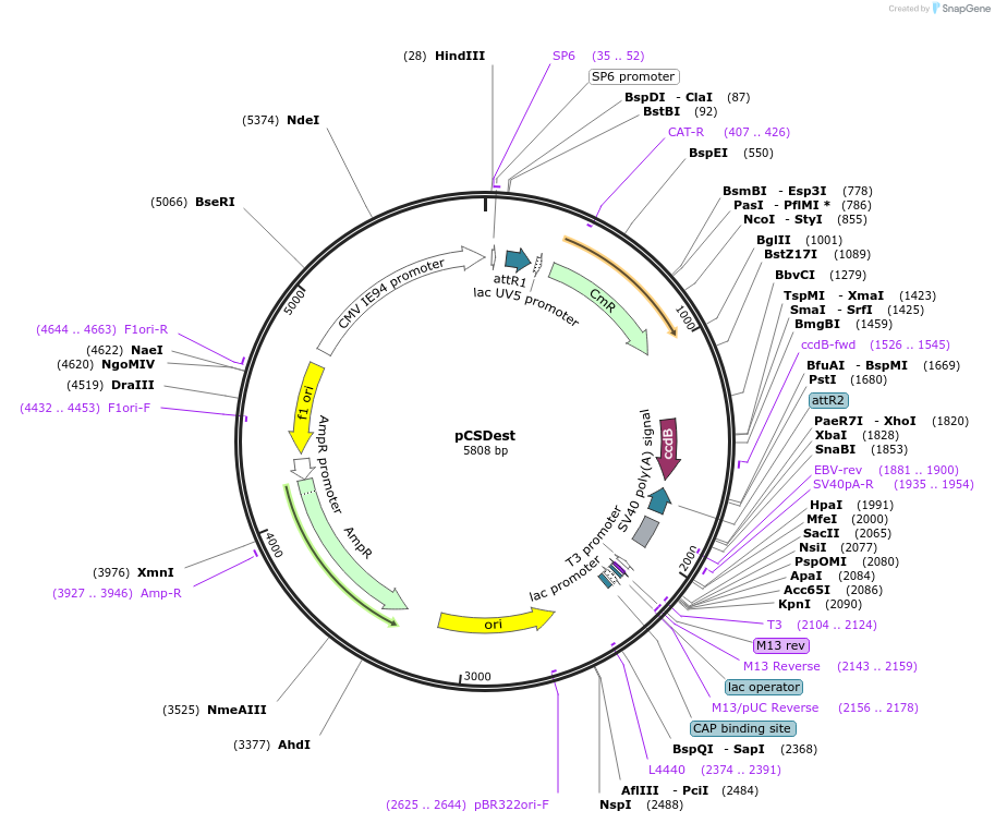 10309_map