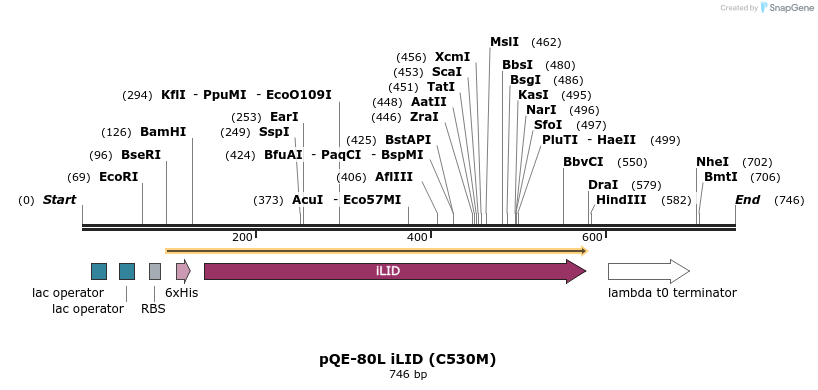 103102_map