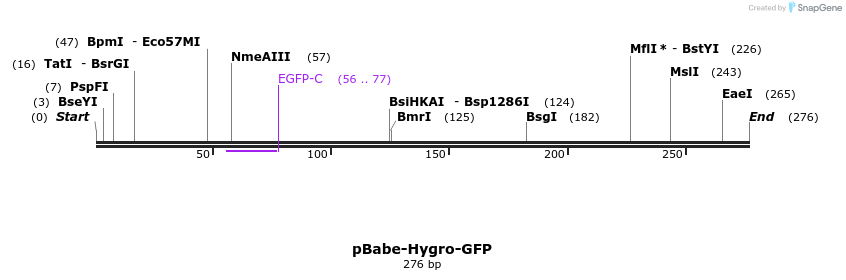 103103_map