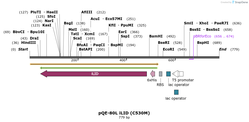 103105_map