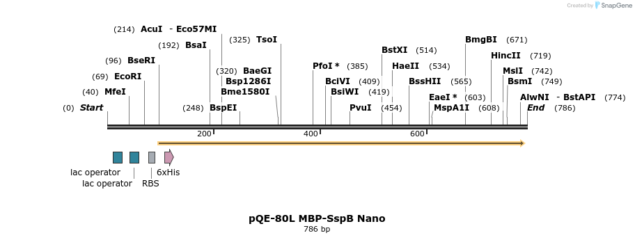 103109_map