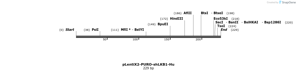 103112_map
