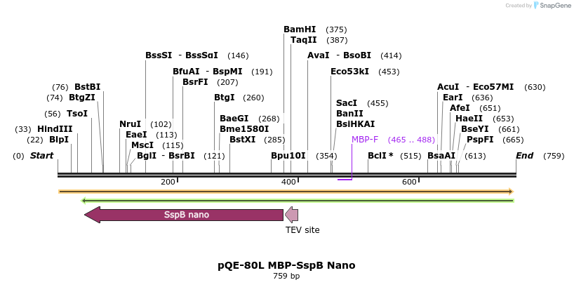 103113_map