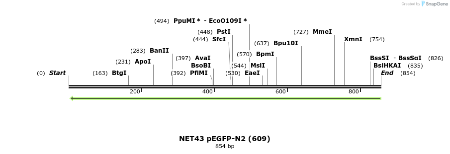 103125_map