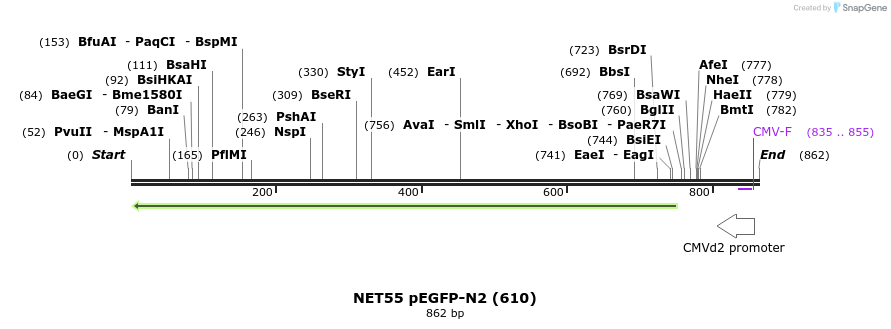 103126_map
