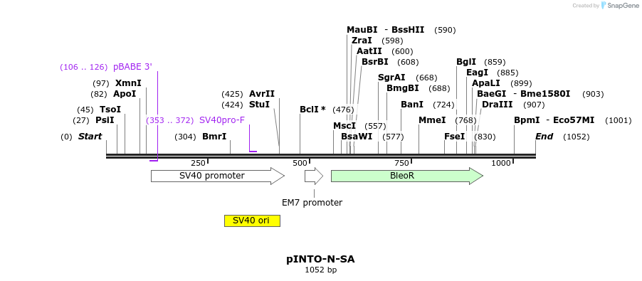 103128_map