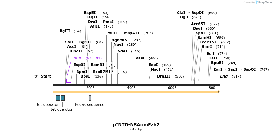 103129_map